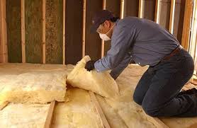 Professional Insulation Services in Lyford, TX