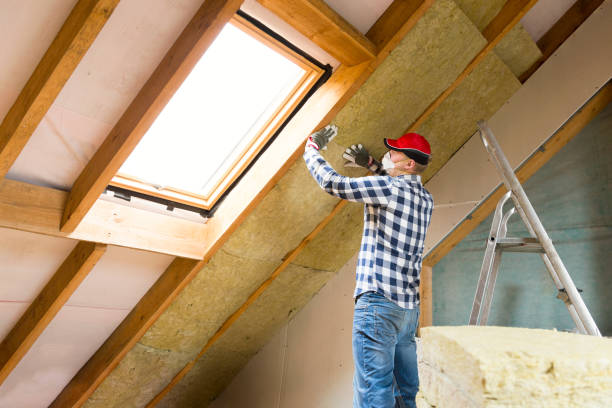 Weatherproofing Services in Lyford, TX